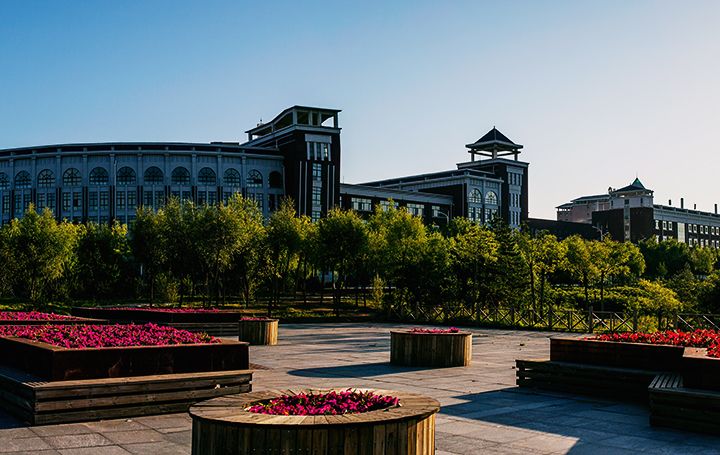 “职业学院全景图”